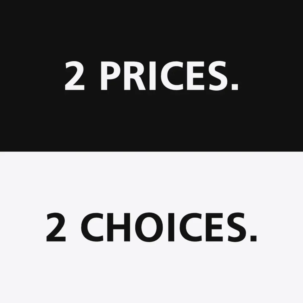 Two prices, two choices. Pay monthly website design made simple