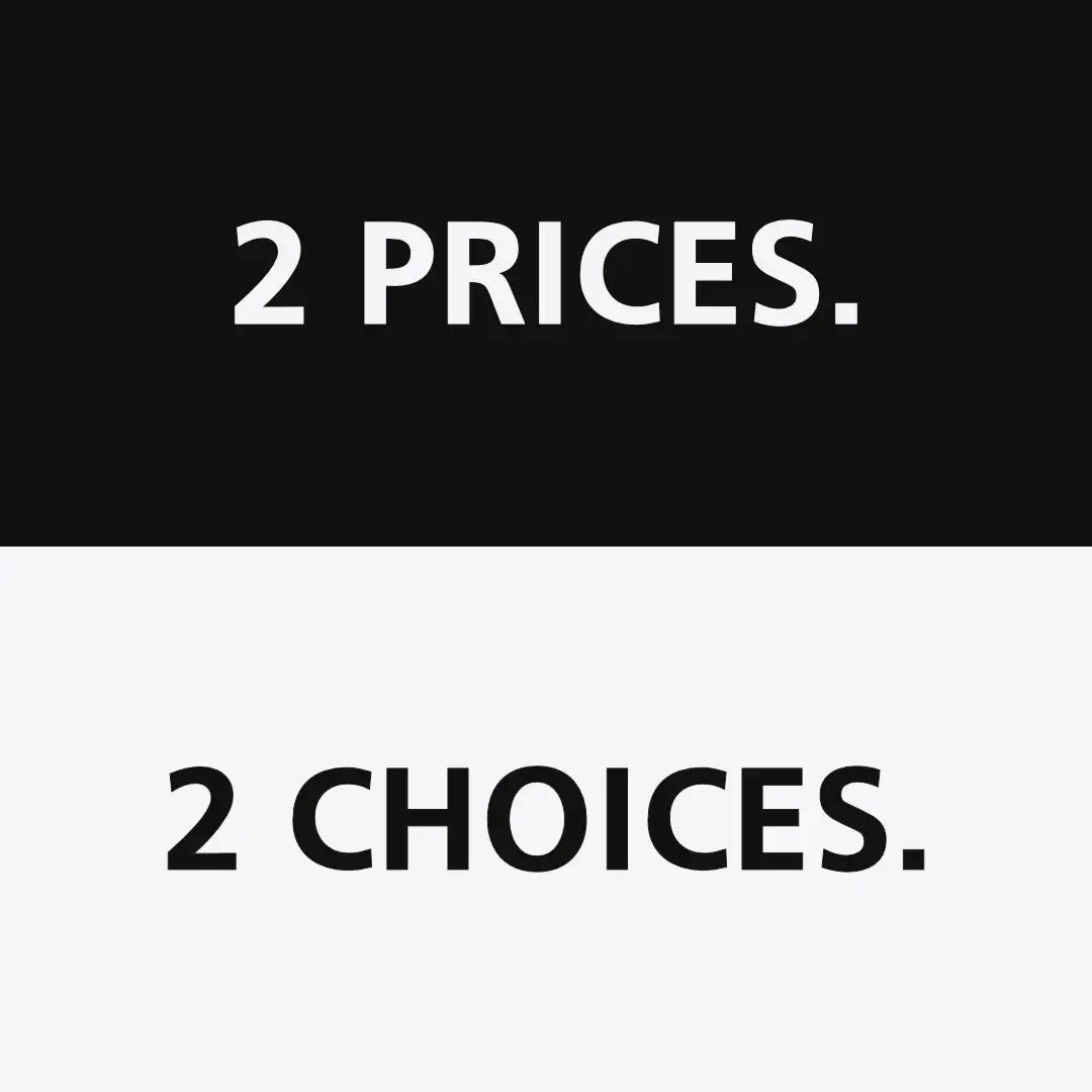 Two prices, two choices. Pay monthly website design made simple